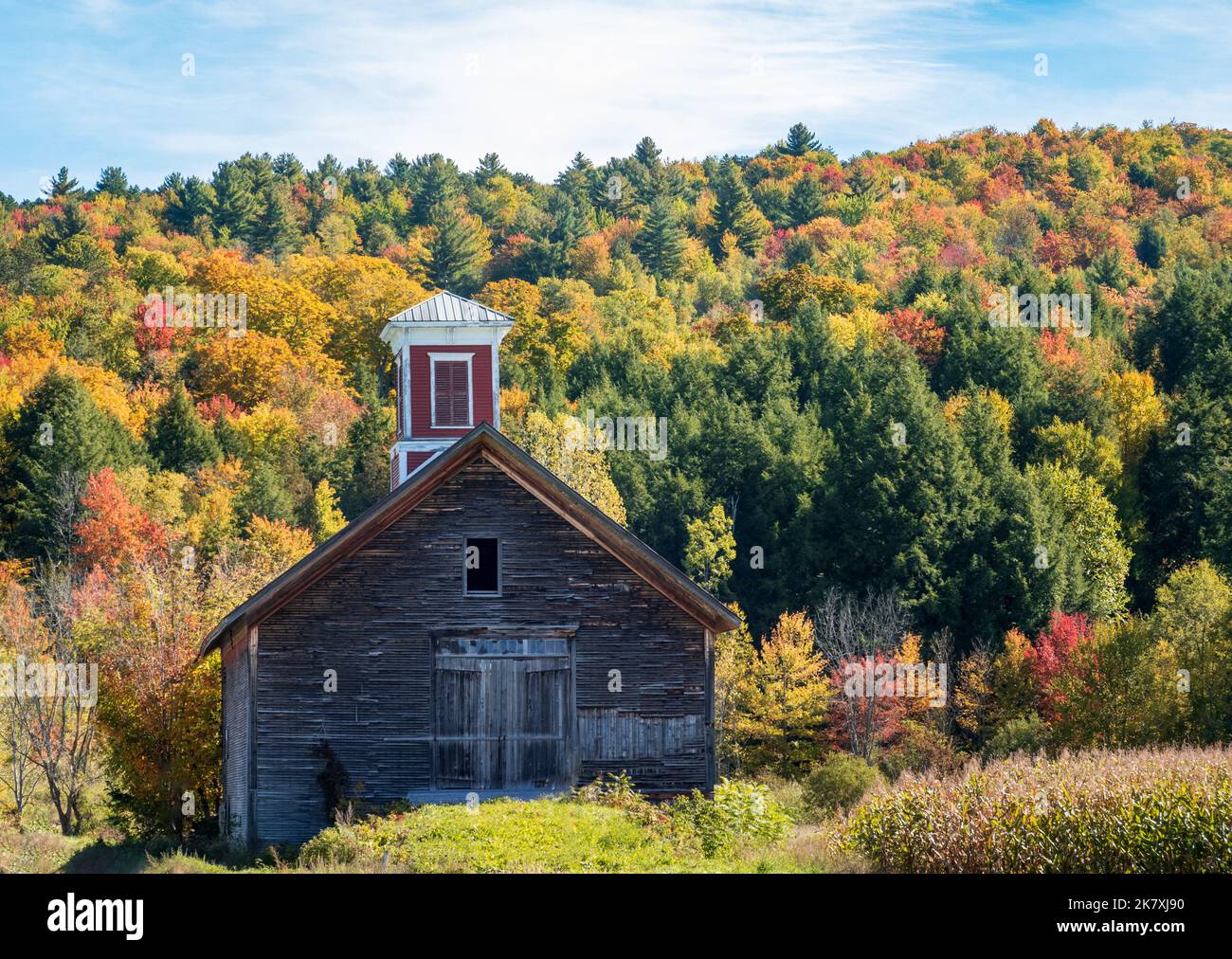 Piccolo fienile in legno con cupola rossa, con colori autunnali del Vermont Foto Stock