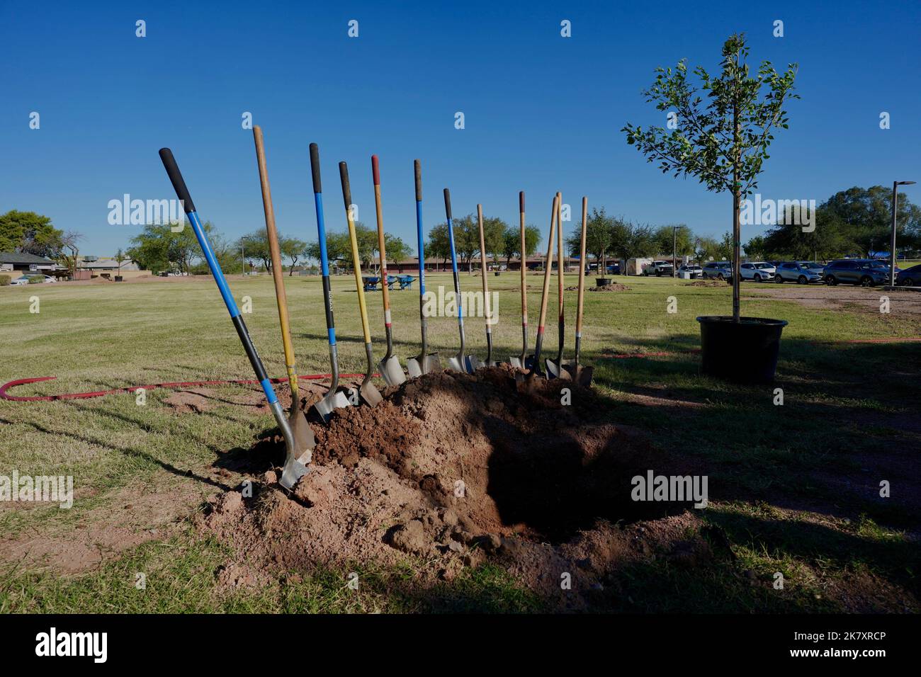 Un gruppo di pale in piedi in verticale in un palo di sporcizia e buco pronto per piantare un albero. Foto Stock