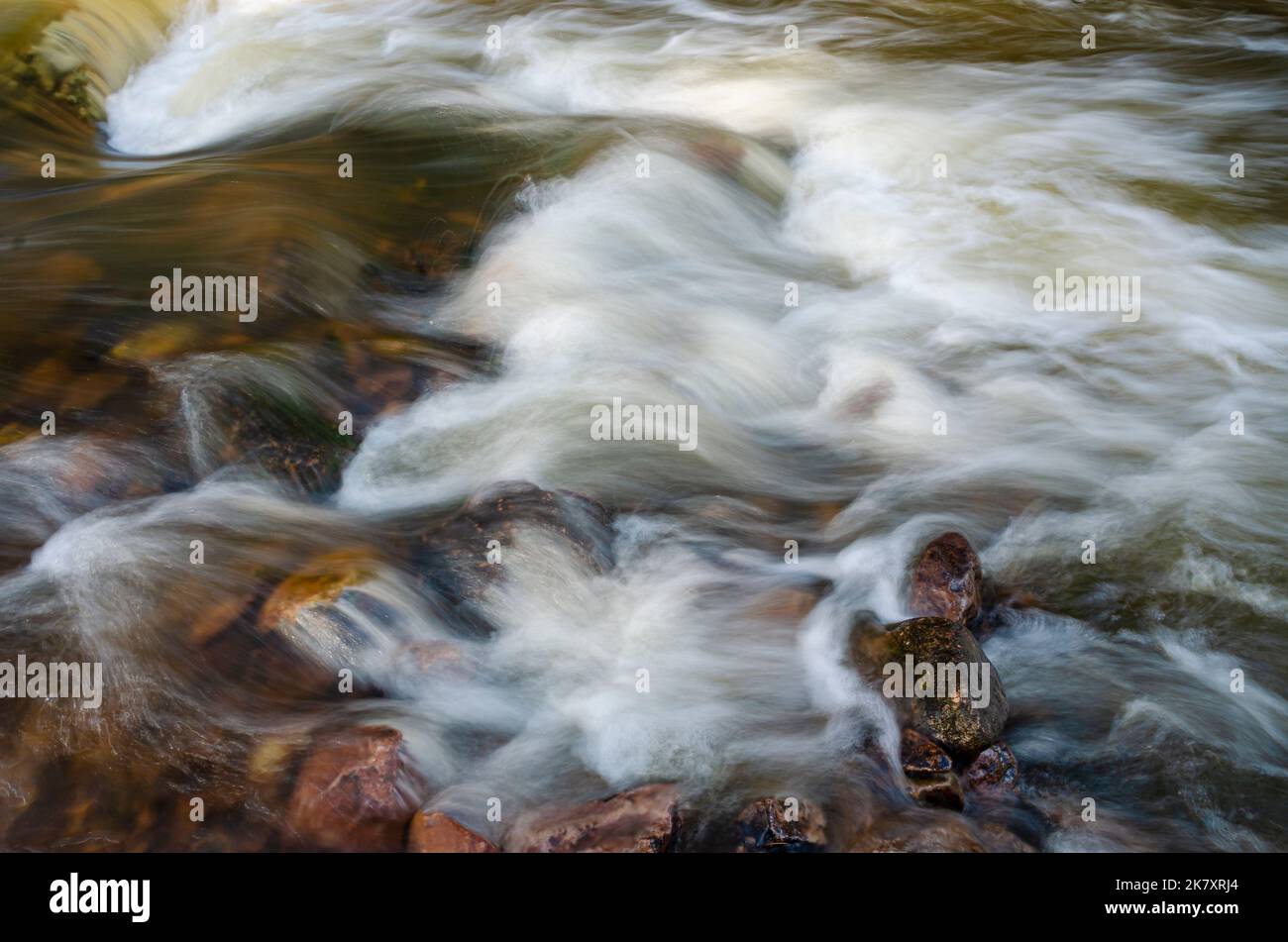 L'acqua scorre in primavera attraverso lo spartiacque di Otter Creek, l'area naturale di Baxter's Hollow state, Sauk County, Wisconsin Foto Stock