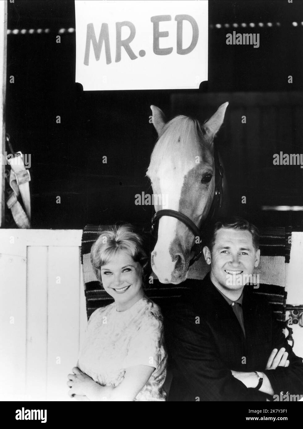 Connie Hines, Mister ed & Alan Young Televisione: Mister ed (serie TV) personaggi: Carol Post, &nbsp;se stesso (145 Episodes, 1958-1966), Wilbur Post USA 1958-1966, 05 gennaio 1961 **AVVERTENZA** questa fotografia è solo per uso editoriale ed è copyright di CBS e/o del fotografo assegnato dalla Film o Production Company e può essere riprodotta solo da pubblicazioni in concomitanza con la promozione del film di cui sopra. È richiesto un credito obbligatorio a CBS. Il fotografo deve essere accreditato anche quando è noto. Nessun uso commerciale può essere concesso senza autorizzazione scritta da parte di t Foto Stock