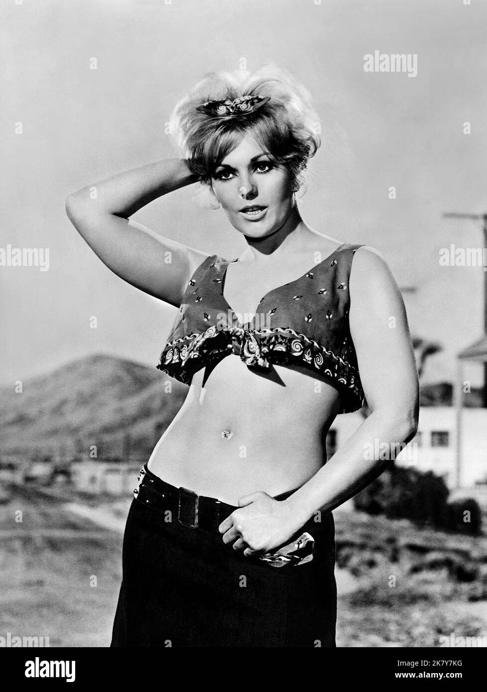 Kim Novak Film Kiss me, Stupid (1964) Characters: Polly the Pistol Director: Billy Wilder 22 dicembre 1964 **WARNING** questa fotografia è solo per uso editoriale ed è copyright di LOPERT PICTURES e/o del fotografo assegnato dalla Film or Production Company e può essere riprodotta solo da pubblicazioni in concomitanza con la promozione del suddetto Film. È richiesto un credito obbligatorio per LE FOTO LOPERT. Il fotografo deve essere accreditato anche se conosciuto. Nessun uso commerciale può essere concesso senza l'autorizzazione scritta di The Film Company. Foto Stock