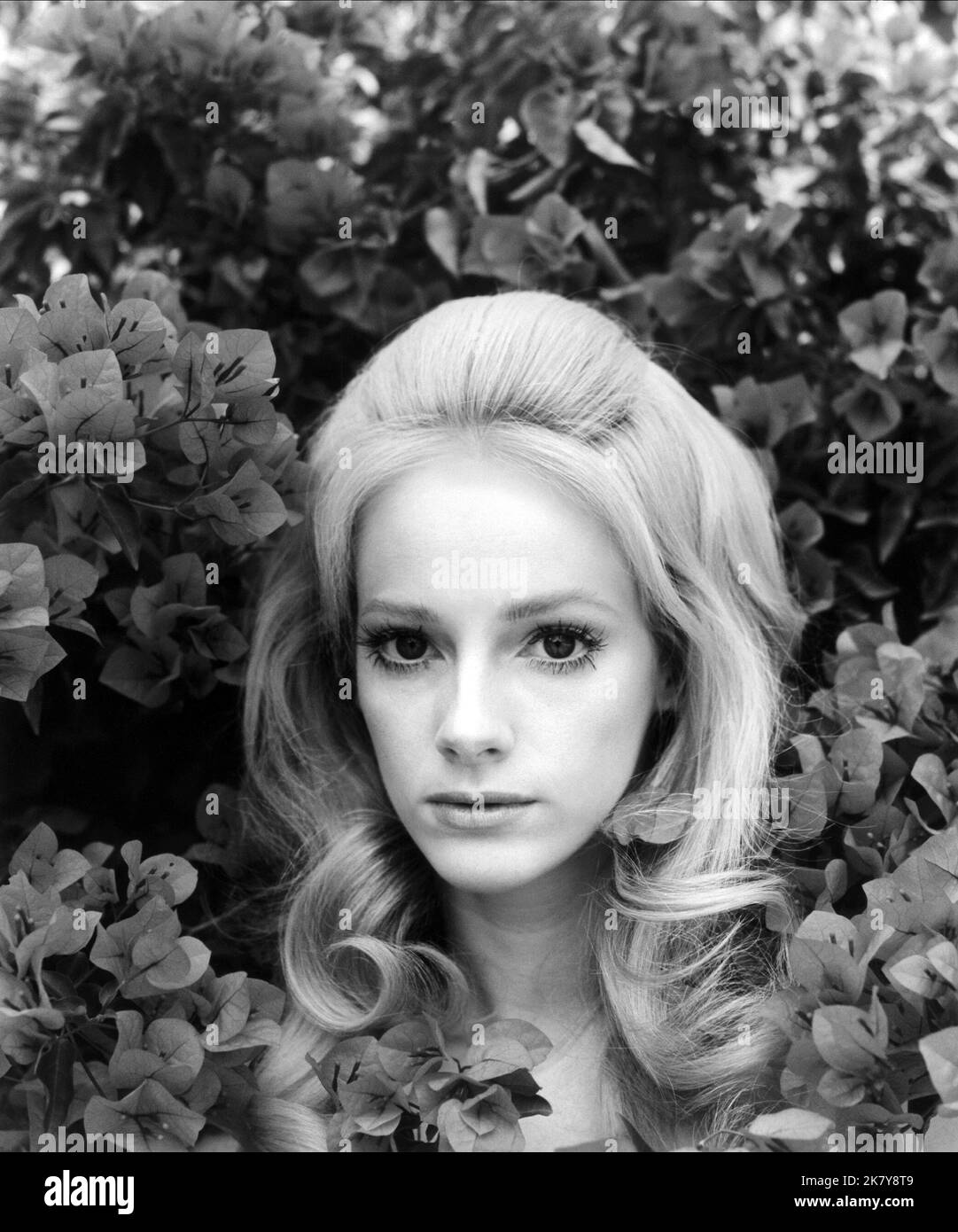 Sondra Locke Film: The Heart is A Lonely Hunter (USA 1968) personaggi: Mick / Literaturverfilmung (basato sul libro di Carson McCullers) regista: Robert Ellis Miller 31 luglio 1968 **AVVERTENZA** questa fotografia è solo per uso editoriale ed è copyright di WARNER BROS.SEVEN ARTS e/o del fotografo assegnato dalla Film o Production Company e può essere riprodotta solo da pubblicazioni in concomitanza con la promozione del film di cui sopra. È richiesto un credito obbligatorio a WARNER BROS.SEVEN ARTS. Il fotografo deve essere accreditato anche quando è noto. Nessun uso commerciale può essere concesso senza Foto Stock