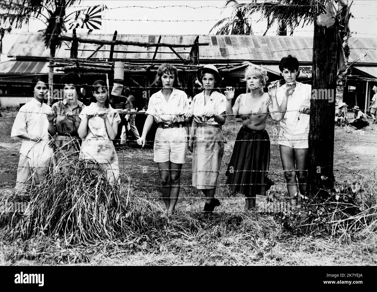 Pilar Seurat, Margia Dean, Yvonne Craig, Denice Darcel & Patricia Owens Film: 7 Donne dell'Inferno (USA 1961) personaggi: Mai-Lu Ferguson,Mara Shepherd,Janet Cook, & Grace Ingram regista: Robert D.Webb 01 ottobre 1961 **AVVERTENZA** questa fotografia è solo per uso editoriale ed è copyright di API e/o del fotografo assegnato dalla Film o dalla Production Company e può essere riprodotta solo da pubblicazioni in concomitanza con la promozione del film di cui sopra. È richiesto un credito obbligatorio all'API. Il fotografo deve essere accreditato anche quando è noto. Nessun uso commerciale può essere concesso senza wri Foto Stock