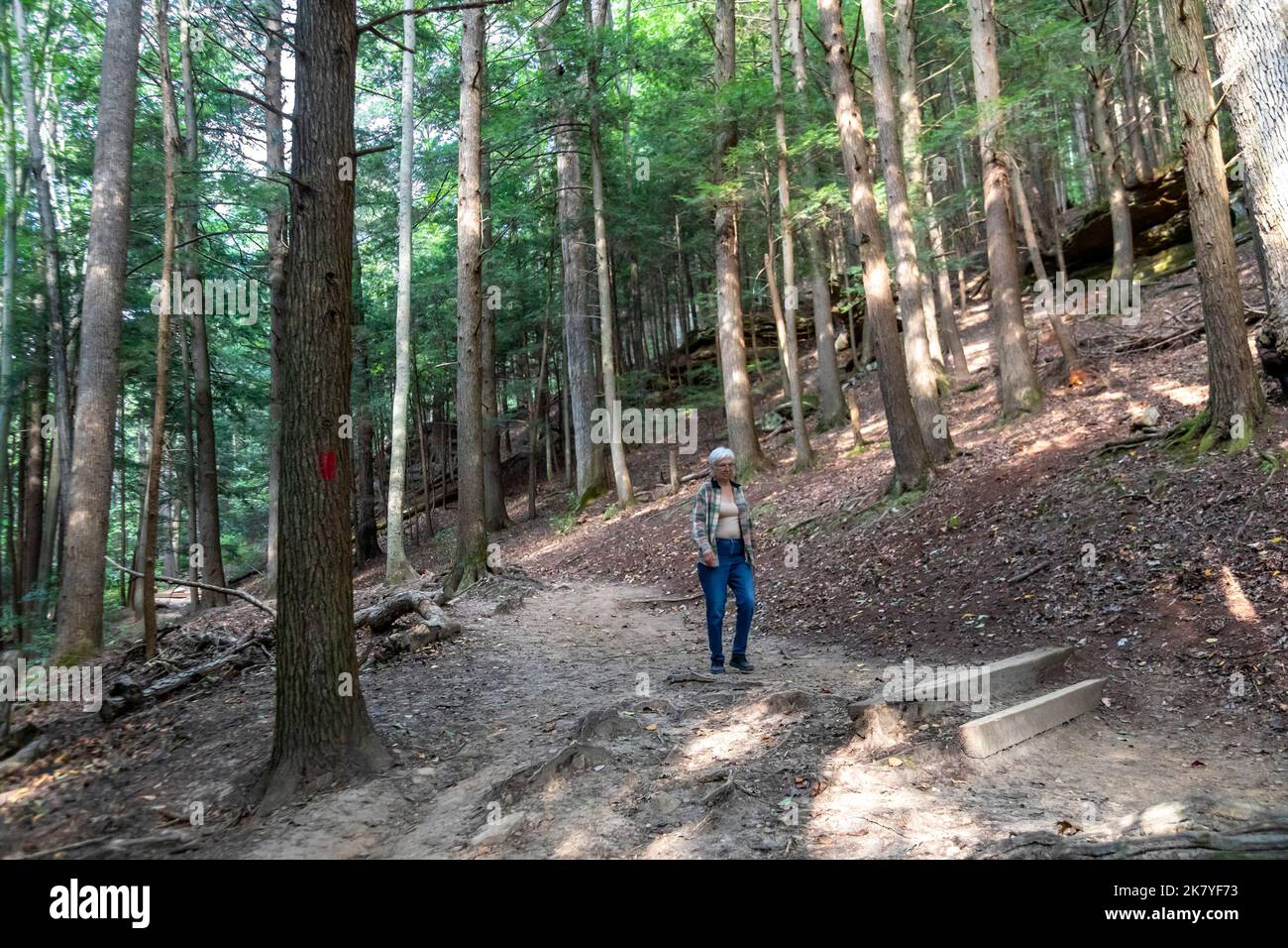 Logan, Ohio - Susan Newell, 73, escursioni sull'Ash Rim Trail nel Hocking Hills state Park. Foto Stock