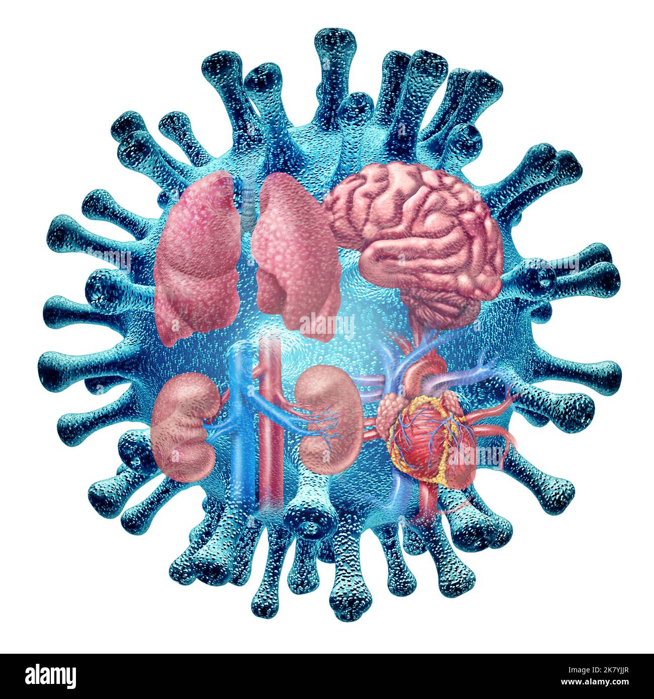 Virus infezione da organi e lunga sindrome di Covid o sintomi pandemici di coronavirus che persistono come un trasportatore di infezioni virali sul cuore polmonare. Foto Stock