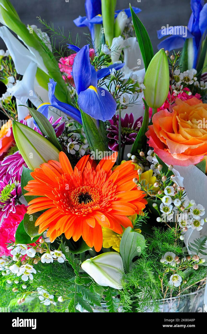 Colorato bouquet floreale in vaso con margherita di Gerbera arancione (Gerbera) e Iris blu. Foto Stock