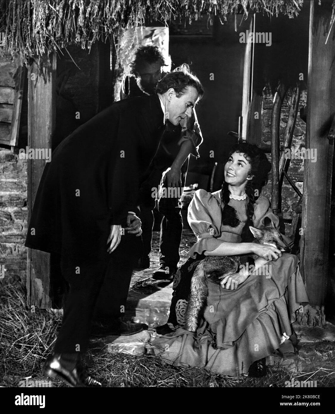 Cyril Cusack, Esmond Knight & Jennifer Jones Film: Gone to Earth (1950) personaggi: Edward Marston, Abel Woodus & Hazel Woodus regista: Michael Powell, e Pressburger 06 novembre 1950 **AVVERTENZA** questa fotografia è solo per uso editoriale ed è copyright di BRITISH LION FILM CORPORATION e/o del fotografo assegnato dalla Film o Production Company e può essere riprodotta solo da pubblicazioni in concomitanza con la promozione del film di cui sopra. È richiesto un credito obbligatorio a BRITISH LION FILM CORPORATION. Il fotografo deve essere accreditato anche quando è noto. Nessun uso commerciale può essere Foto Stock