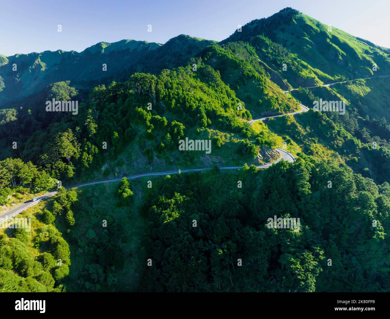 Veduta aerea della strada di montagna in una bella foresta verde Foto Stock