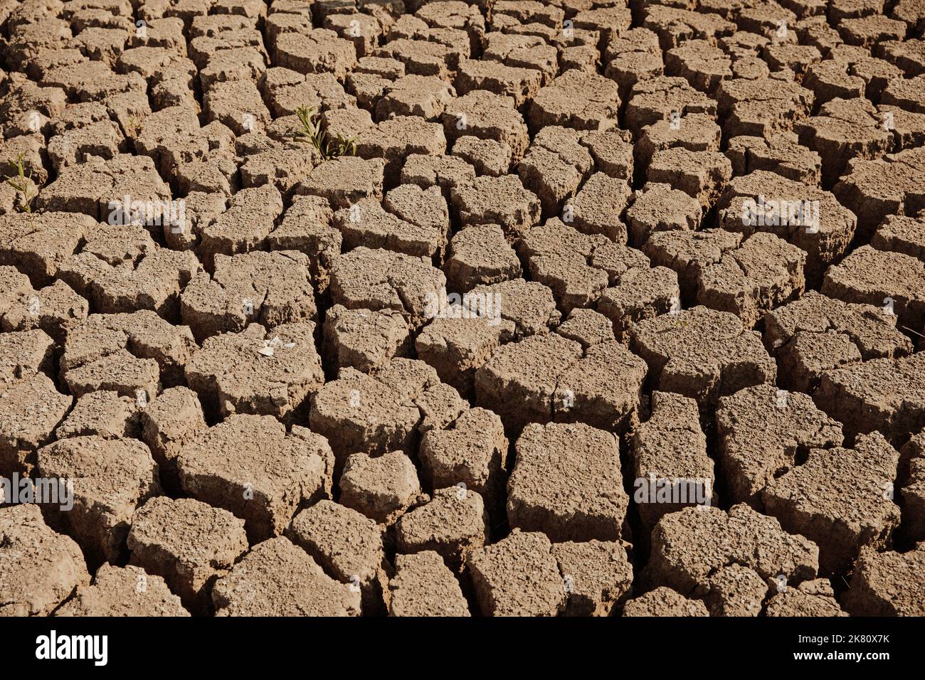 Particolare di terreno essiccato cracked di badland Foto Stock