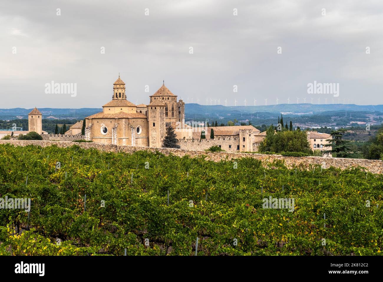 Vista panoramica del monastero reale di Santa Maria de Poblet dell'ordine cistercense circondato da vigneti all'inizio dell'autunno a Tarragona in Spagna Foto Stock