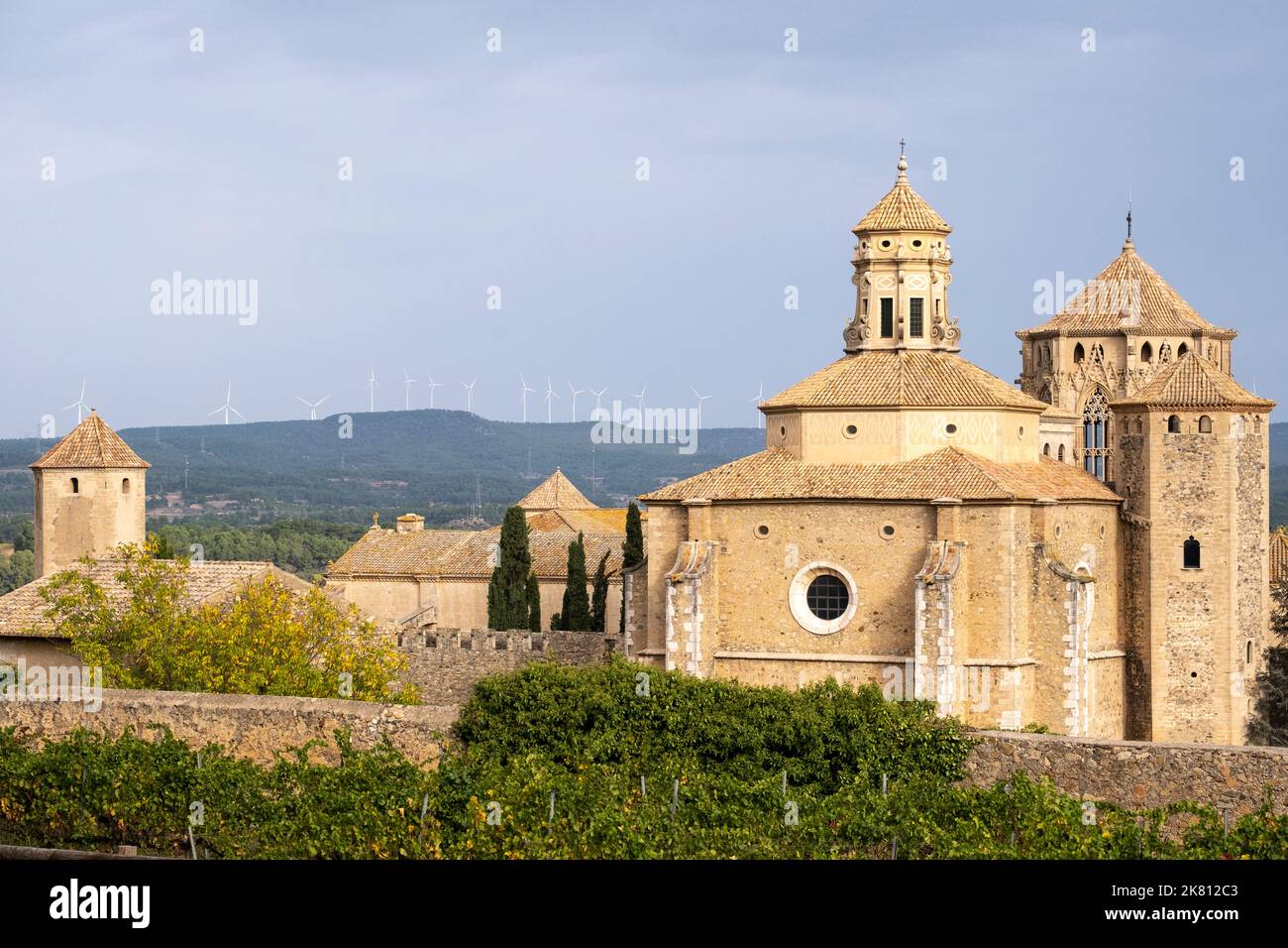 Vista panoramica del monastero reale di Santa Maria de Poblet dell'ordine cistercense circondato da vigneti all'inizio dell'autunno a Tarragona in Spagna Foto Stock