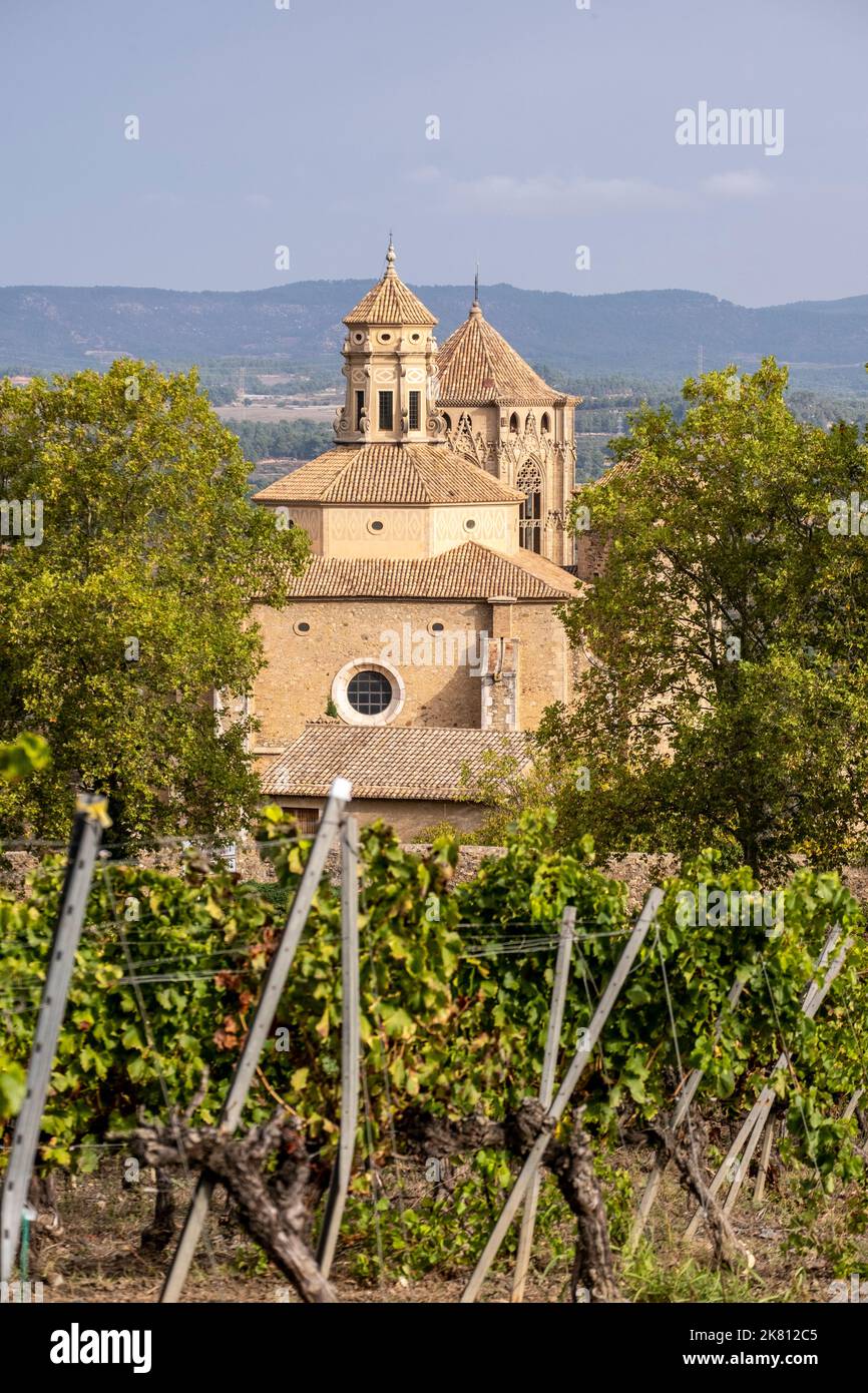 Vista panoramica del monastero reale di Santa Maria de Poblet dell'ordine cistercense circondato da vigneti all'inizio dell'autunno a Tarragona in Spagna Foto Stock