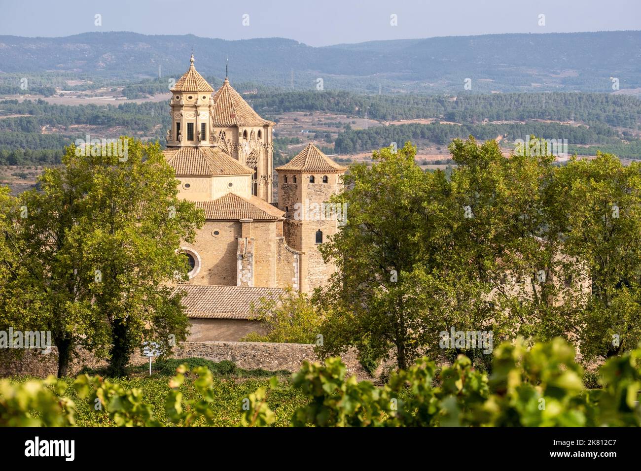Vista panoramica del monastero reale di Santa Maria de Poblet dell'ordine cistercense circondato da vigneti all'inizio dell'autunno a Tarragona in Spagna Foto Stock