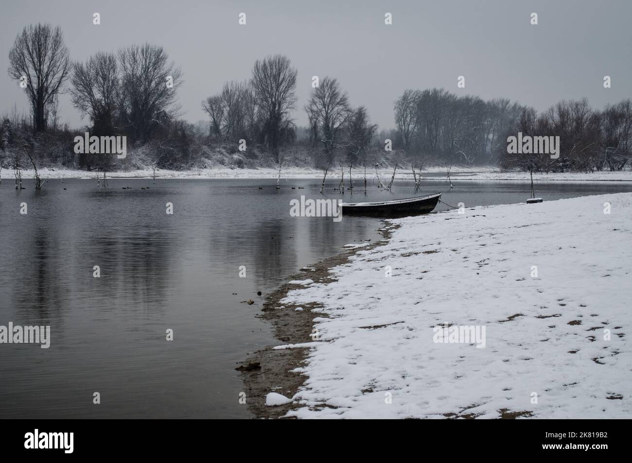 Palude in inverno, paesaggio misteriosa. Una vista panoramica della palude in una giornata di nebbia invernale. Foto Stock