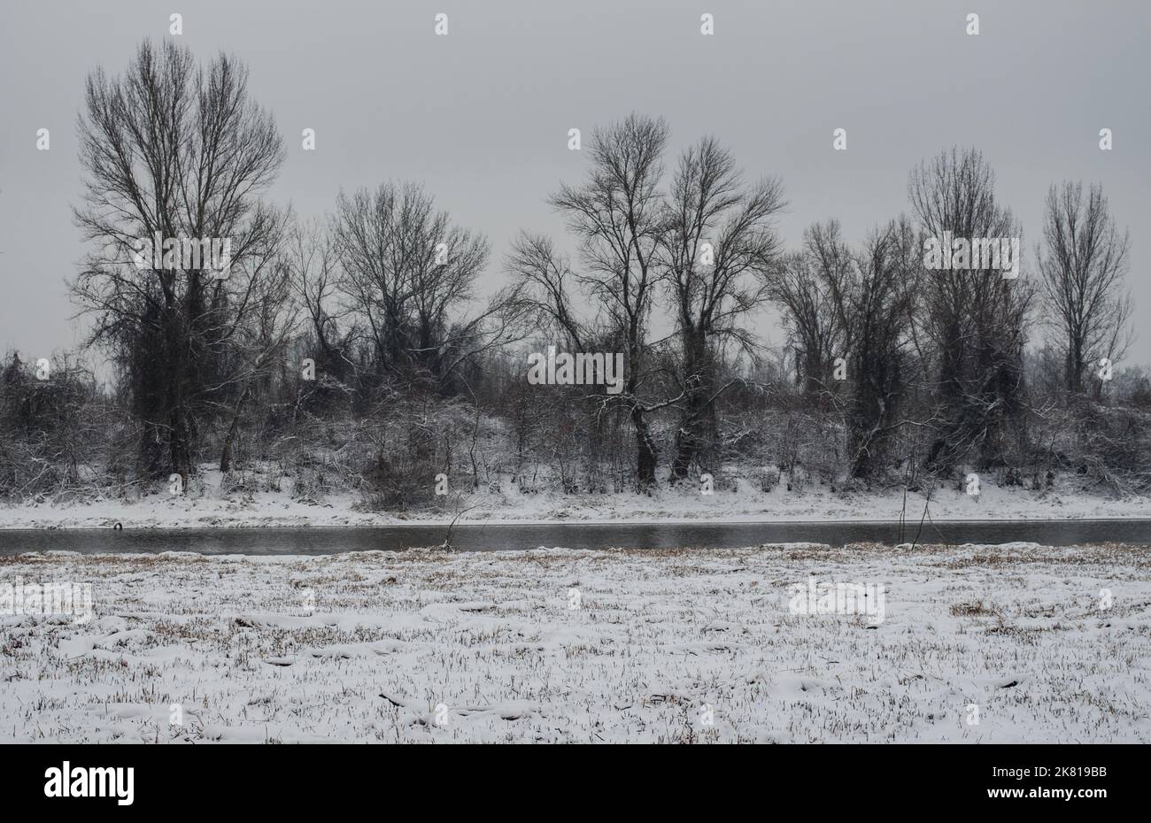 Palude in inverno, paesaggio misteriosa. Una vista panoramica della palude in una giornata di nebbia invernale. Foto Stock