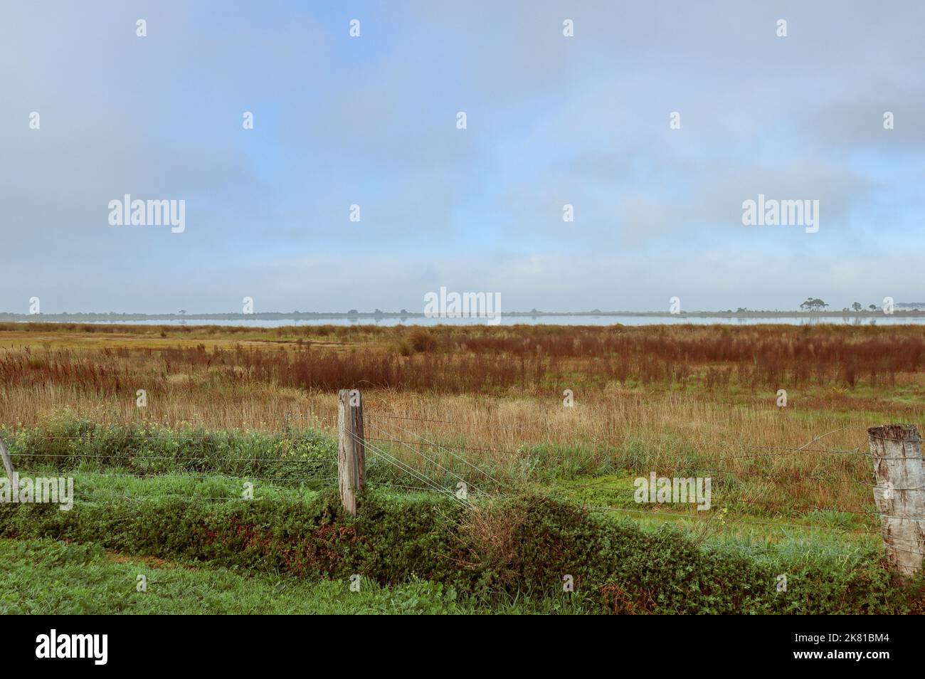 Una vista sulle zone umide costiere di Melbourne Foto Stock