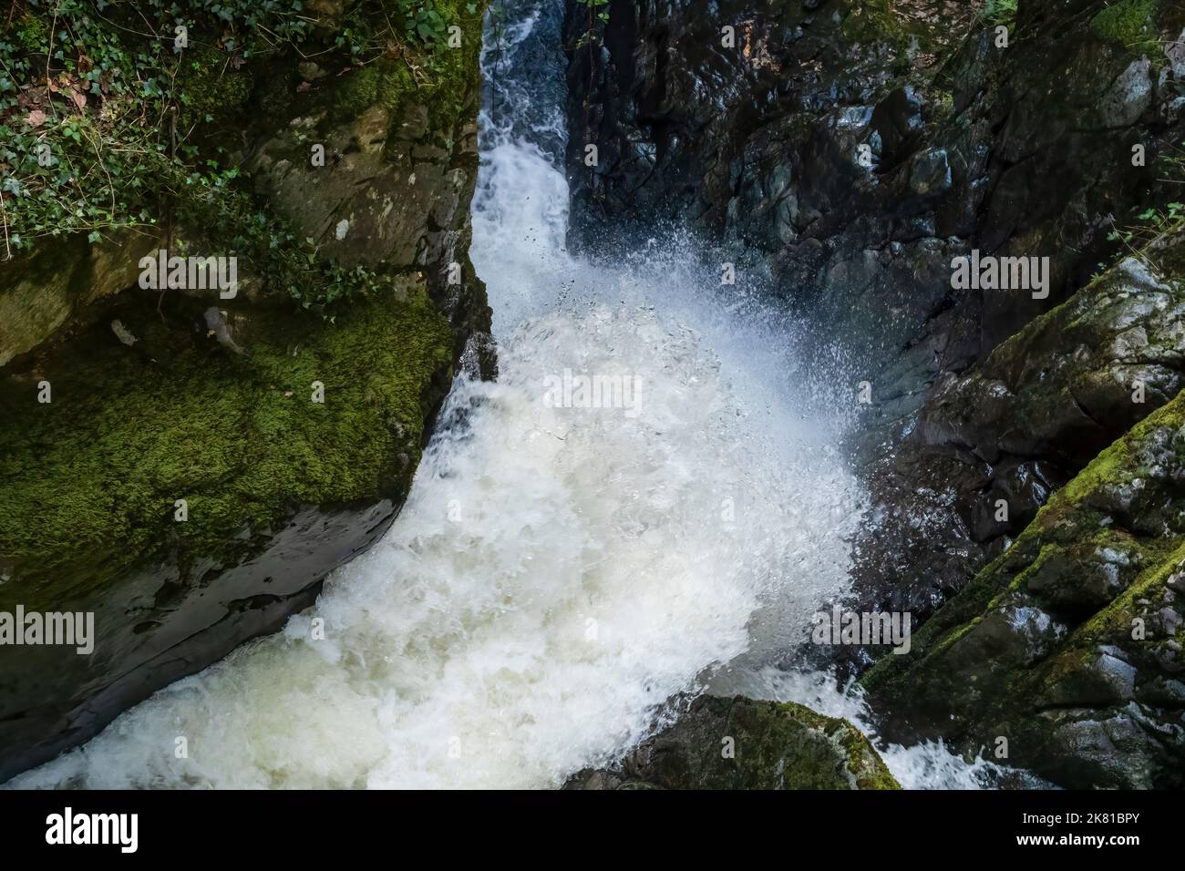 L'acqua autunnale si schiantano e schiumano attraverso la stretta gola, Aira Force, Lago Ullswater, Lake District, Cumbria, REGNO UNITO Foto Stock