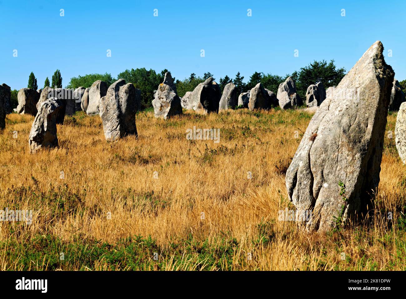 Carnac Bretagna Francia. Il menhir neolitico in piedi pietre Foto Stock