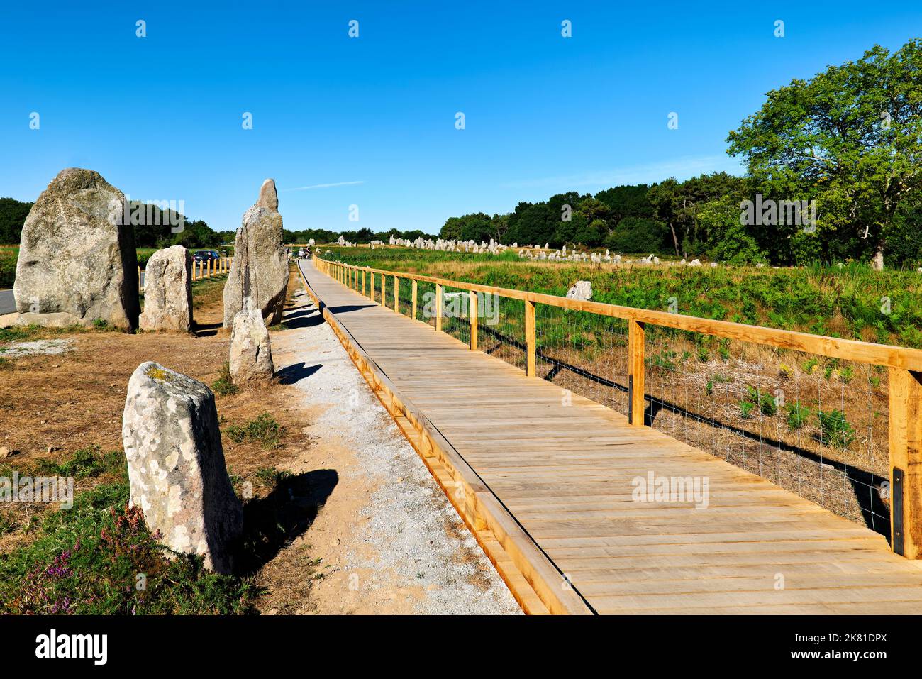 Carnac Bretagna Francia. Il menhir neolitico in piedi pietre Foto Stock