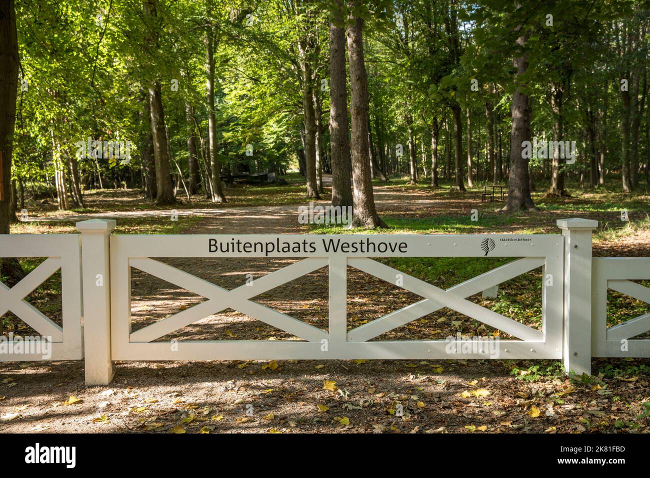 Europa, Paesi Bassi, porta nella riserva naturale di Manteling vicino a Domburg sulla penisola di Walcheren. Europa, Niederlande, Tor im Naturschutzgebiet de Foto Stock