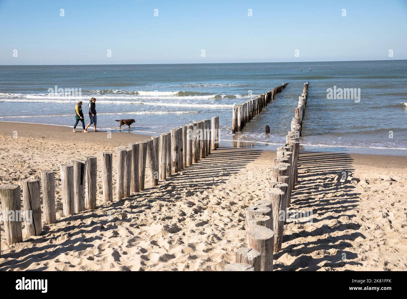 Inguine sulla spiaggia di Domburg sulla penisola Walcheren, Zeeland, Paesi Bassi. Buhnen am Strand von Domburg auf Walcheren, Zeeland, Niederlande. Foto Stock