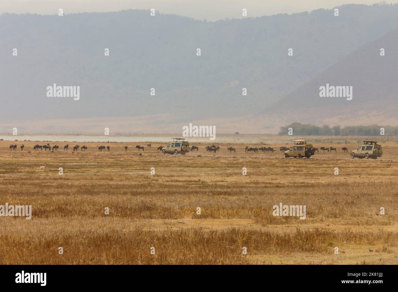 PARCO DI NGORONGORO TANZANIA Foto Stock