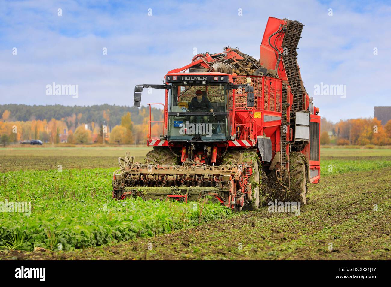 Agricoltore che raccoglie barbabietole da zucchero sul campo con la raccoglitrice di barbabietole Holmer Terra Dos a T3 6 file il giorno di ottobre. Salo, Finlandia. Ottobre 13, 2022. Foto Stock