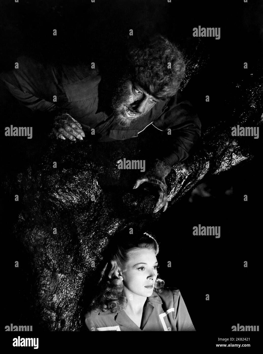 LON Chaney Jr. & Evelyn Ankers Film: The Wolf Man (1941) personaggi: The Wolf Man, Gwen Conliffe regista: George Waggner 12 dicembre 1941 **AVVERTENZA** questa fotografia è solo per uso editoriale ed è copyright di UNIVERSAL e/o del fotografo assegnato dalla Film o dalla Production Company e può essere riprodotta solo da pubblicazioni in concomitanza con la promozione del film di cui sopra. È richiesto un credito obbligatorio a UNIVERSAL. Il fotografo deve essere accreditato anche quando è noto. Nessun uso commerciale può essere concesso senza autorizzazione scritta da parte della Film Company. Foto Stock