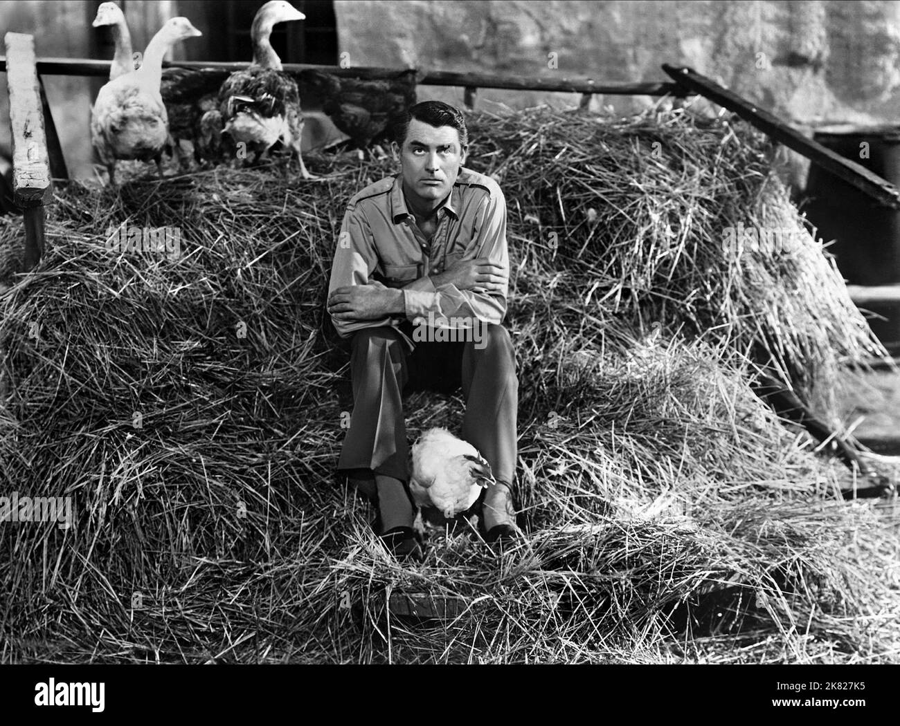 Cary Grant Film: I was A Male War Bride (USA 1949) personaggi: Cap. Henri Rochard regista: Howard Hawks 09 agosto 1949 **AVVERTENZA** questa fotografia è solo per uso editoriale ed è copyright di 20th CENTURY FOX e/o del fotografo assegnato dalla Film o dalla Production Company e può essere riprodotta solo da pubblicazioni in concomitanza con la promozione del film di cui sopra. È richiesto un credito obbligatorio a 20th CENTURY FOX. Il fotografo deve essere accreditato anche quando è noto. Nessun uso commerciale può essere concesso senza autorizzazione scritta da parte della Film Company. Foto Stock