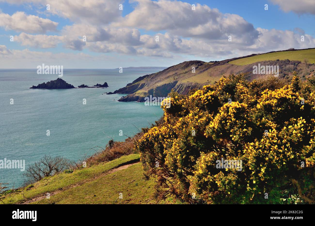 Il South West Coast Path a Pudcombe Cove vicino Coleton Fishacre, South Devon. Foto Stock