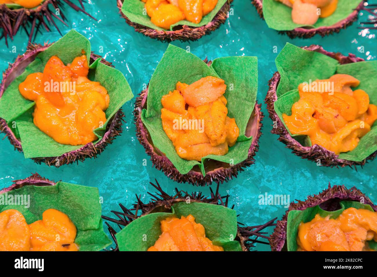 Coralli di riccio di mare, o carne uni, preparati e serviti nelle conchiglie di riccio in un mercato del pesce. Delicatezza giapponese considerata afrodisiaca. Foto Stock