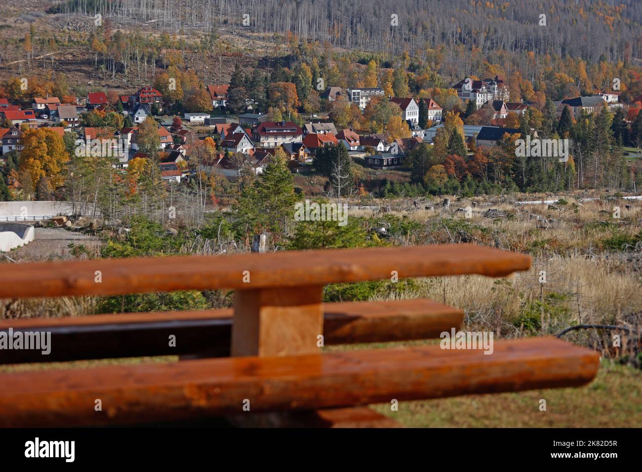 Schierke, Germania. 20th Ott 2022. Le aree forestali morte circondano il villaggio di Schierke, Harz. Gli abeti morti sono caduti vittime del clima secco e dello scarabeo. L'area rimane in gran parte intatta e lasciata ai propri dispositivi, in quanto si trova all'interno del Parco Nazionale di Harz. In questo caso, qualsiasi intervento di natura è severamente vietato. Credit: Matthias Bein/dpa/Alamy Live News Foto Stock