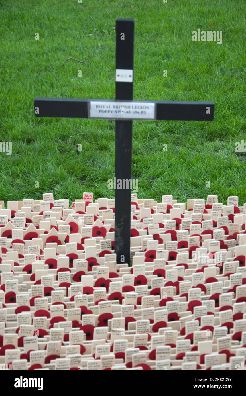 Mostra del giorno di Rememberance, Abbazia di Westminster, Westminster, Londra, Regno Unito Foto Stock