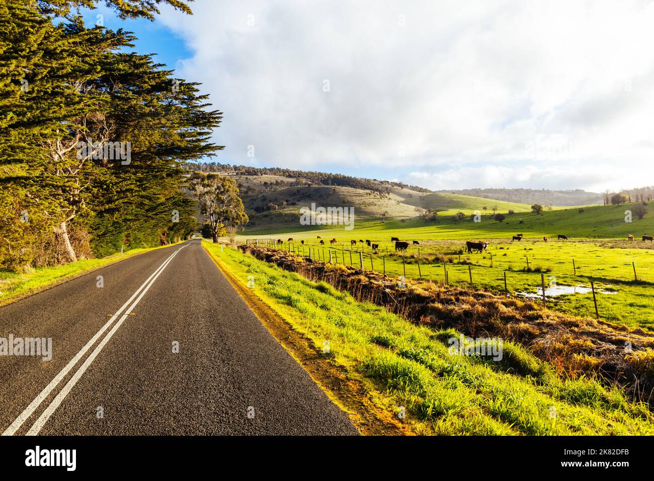 Paesaggio vicino a New Norfolk in Tasmania Australia Foto Stock