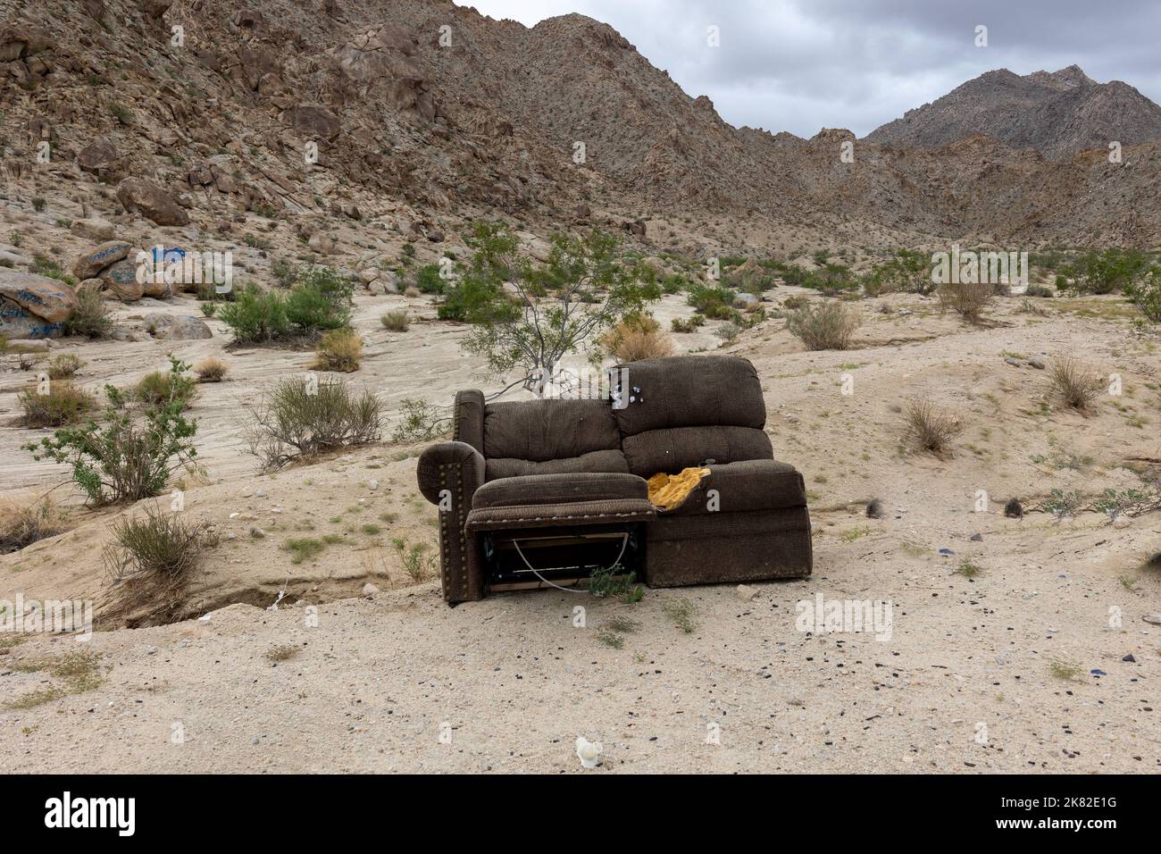 Cucciolata nel deserto di Mojave, un problema importante nello stato della California, che causa un sacco di inquinamento nelle aree naturali Foto Stock