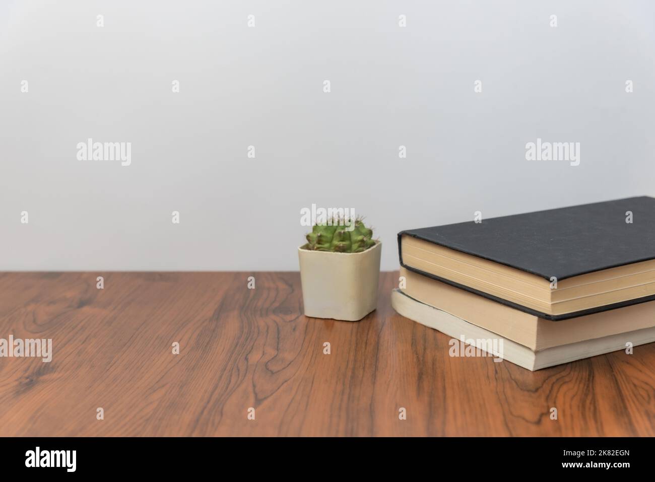 Pila di libri e pianta di cactus su tavola di legno Foto Stock
