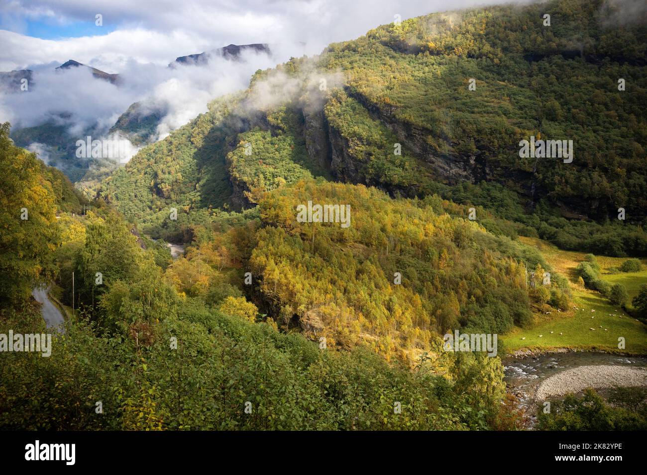 Paesaggi mozzafiato del fiordo norvegese e della montagna durante il viaggio in Norvegia con la ferrovia del Flam Foto Stock