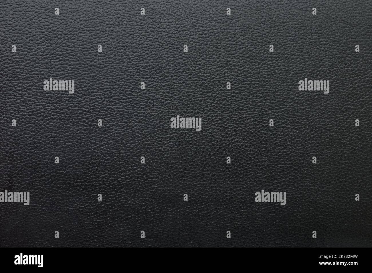 Ruvido nero pelle animale texture macro clsoe vista in alto Foto Stock