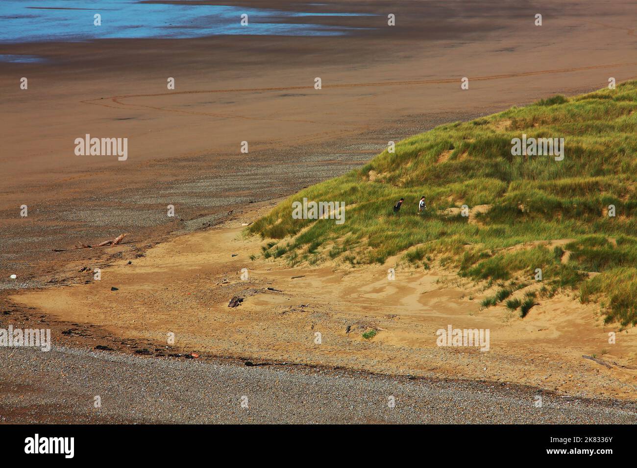 Panoramica delle dune di sabbia di Merthyr Mawr nei pressi di Bridgend con numerosi sentieri per passeggiate e splendide spiagge, oltre a cavalli occasionali che galoppano. Foto Stock