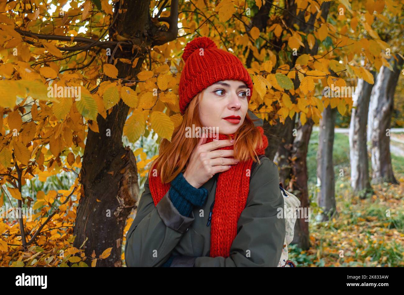 Giovane donna carina brillante in caldo cappello a maglia arancione e sciarpa sullo sfondo di foglie autunnali gialle. Passeggiata nel parco autunnale. Foto Stock