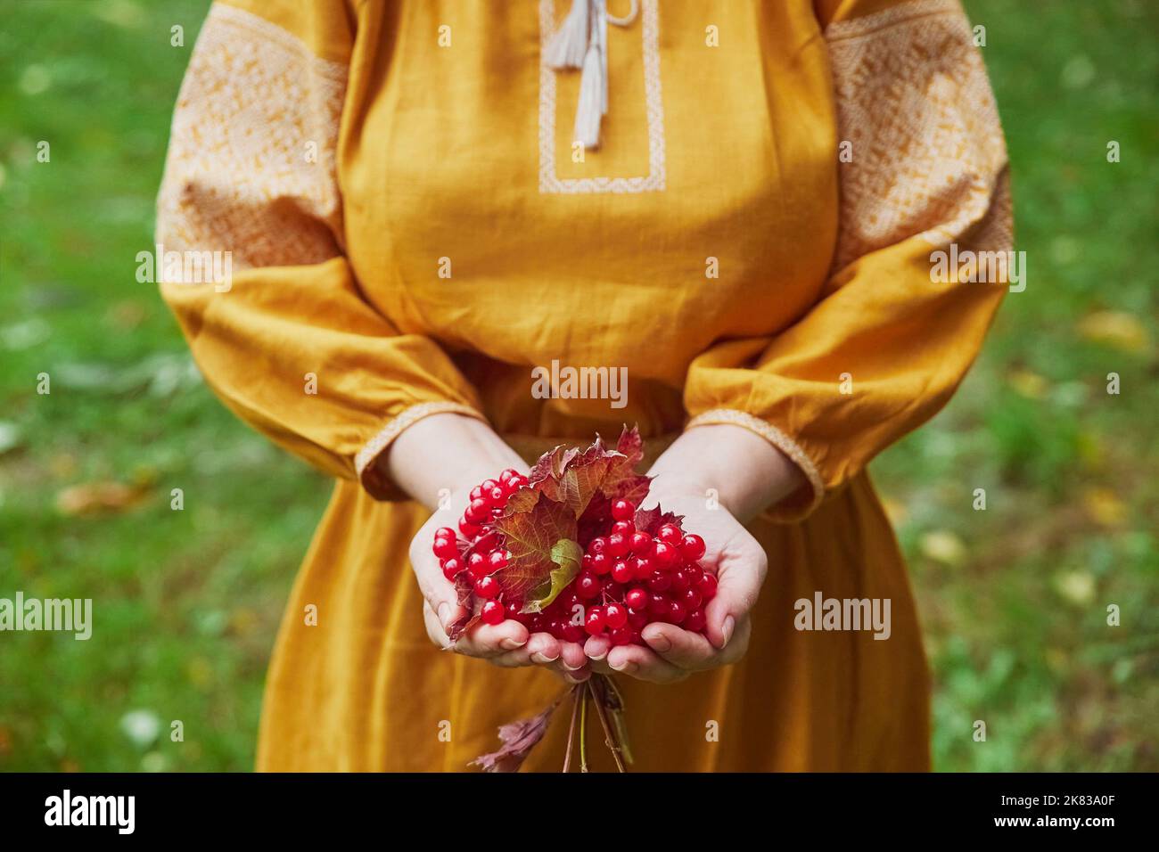 Bella donna Ucraina in un vestito ricamato che tiene viburnum Foto Stock