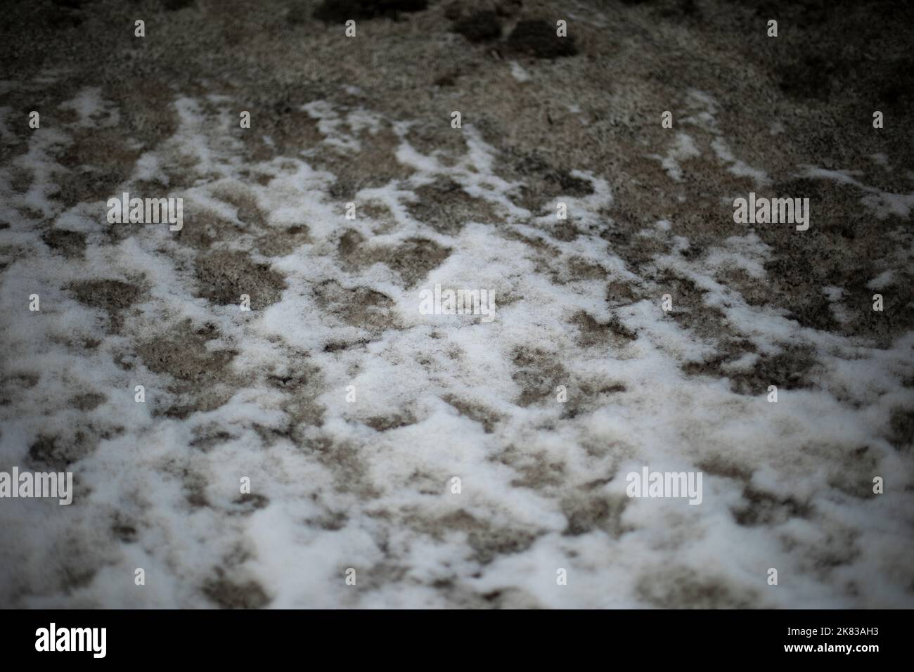 Neve sporca su strada. Lato della strada in inverno. Blocchi di ghiaccio sono neri. Spazzaneve. Foto Stock