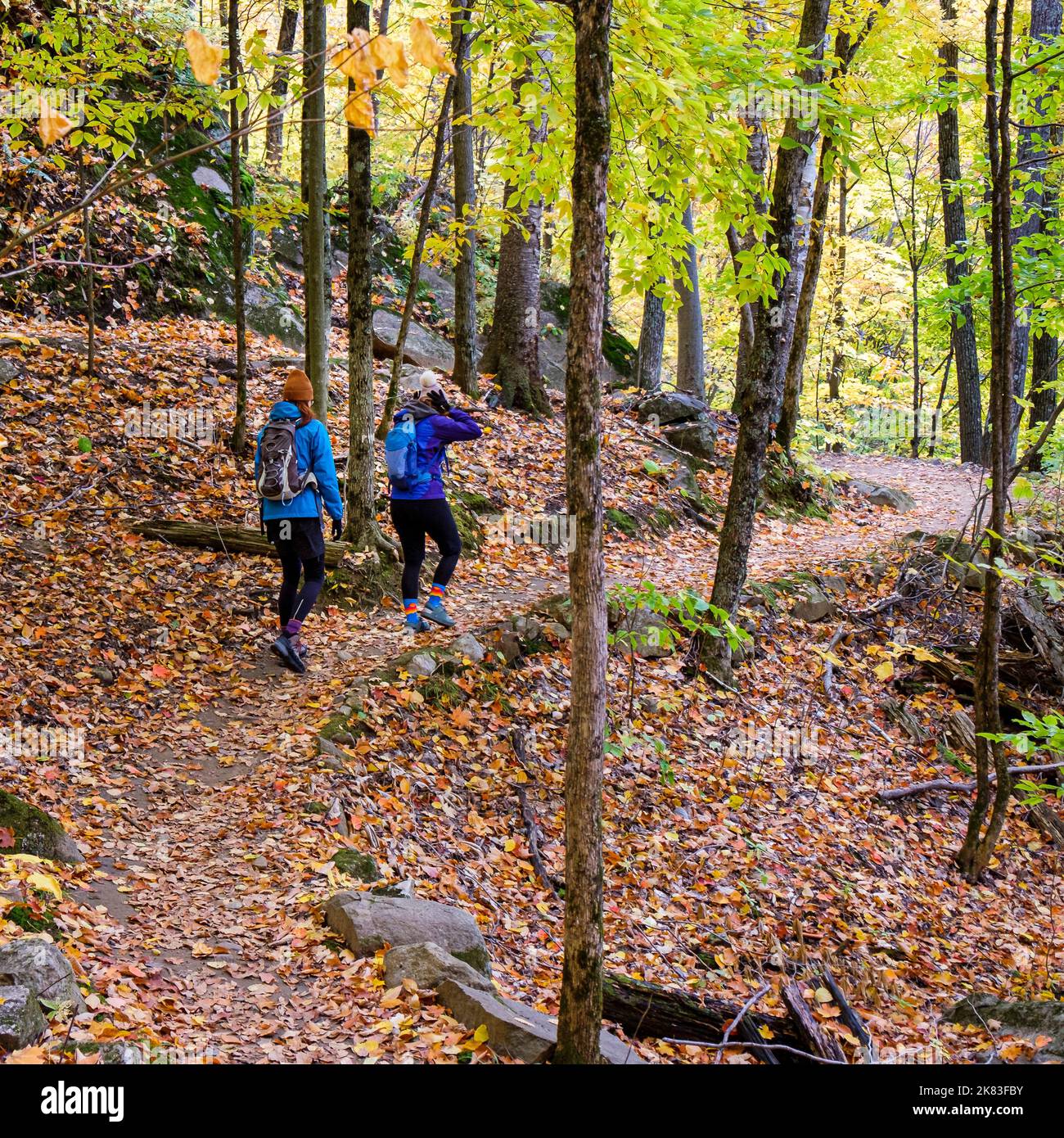 Escursionisti a Mont Ste Marie, Quebec, Canada in autunno Foto Stock