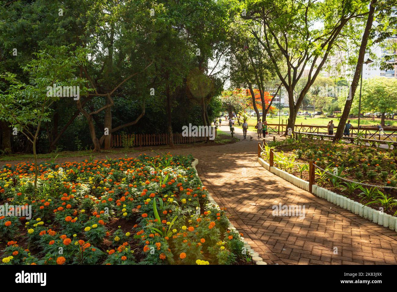 Goiânia, Goias, Brasile – 18 ottobre 2022: Un angolo di Parco Flamboyant con un giardino fiorito, alberi e molto verde. Foto Stock