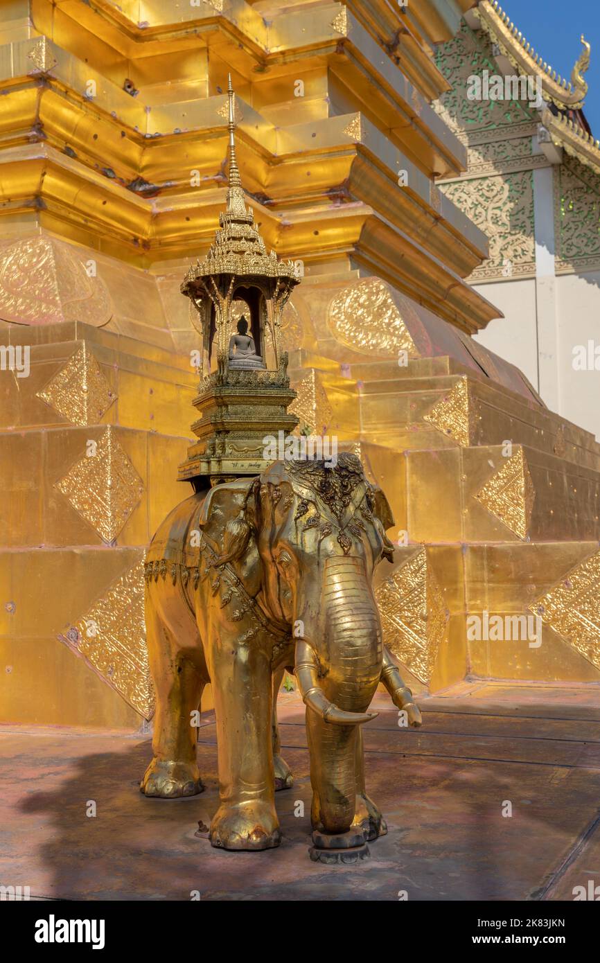Bella statua di elefante d'oro alla base del principale stupa presso l'antico Wat Chom Phu o tempio buddista Chomphu, Chiang mai, Thailandia Foto Stock
