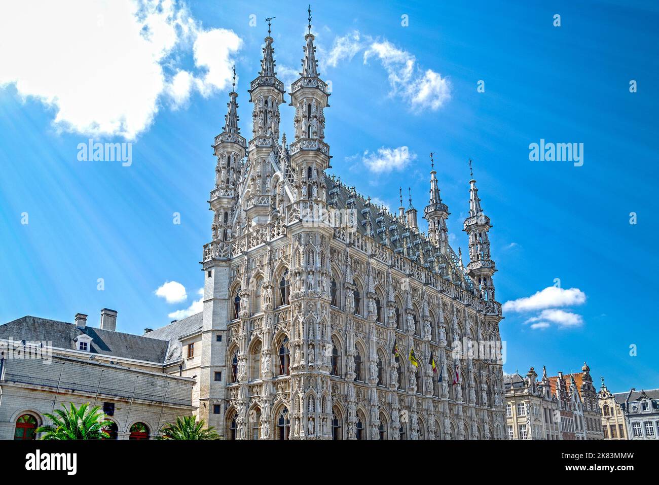Leuven / Louvain, Belgio, costruito tra il 1439 e il 1463 in stile tardo-gotico brabantese Foto Stock