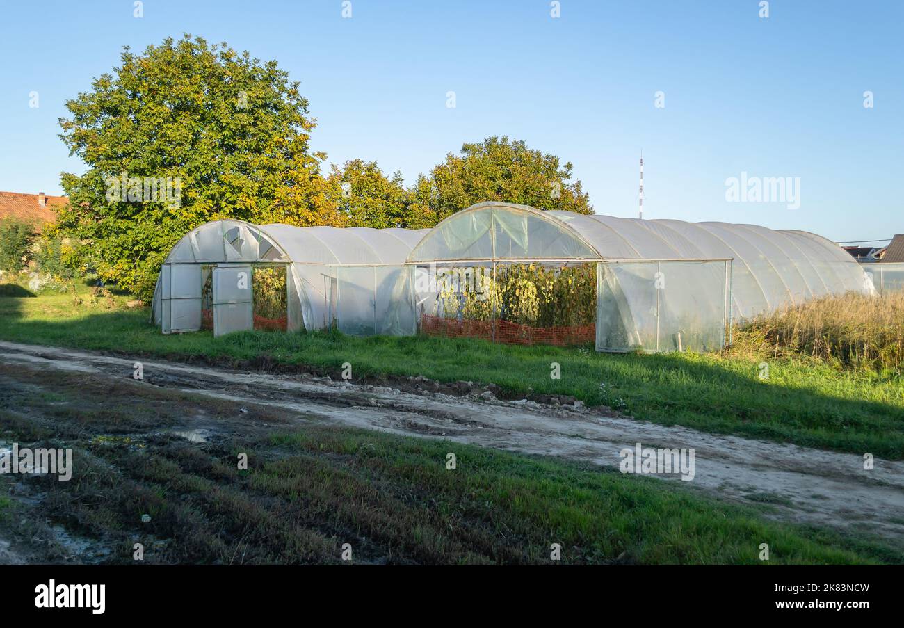 Serra privata nella periferia di Petrovaradin, Novi Sad, Serbia. Foto Stock