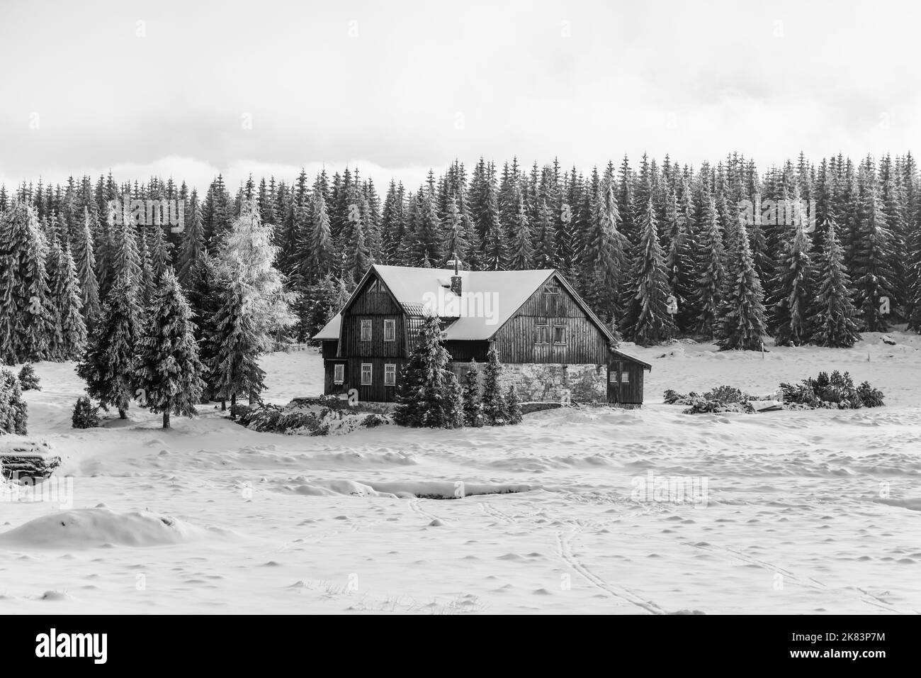 Paesaggio invernale dei Monti Jizera Foto Stock