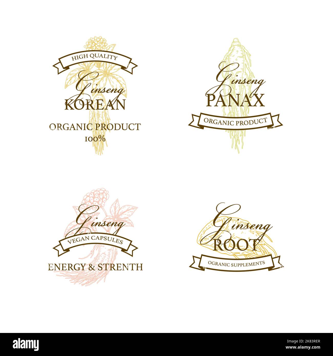 Set di disegni con logo vintage in ginseng disegnati a mano. Illustrazione del vettore botanico nello stile di schizzo. Stampa confezionamento piante medicinali Illustrazione Vettoriale