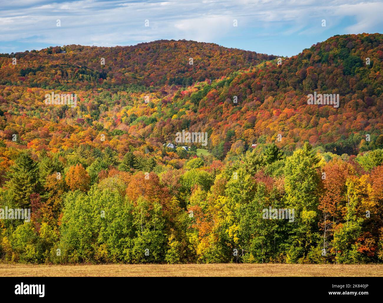 Strati di alberi in molti colori autunnali fieggiano una collina vicino Pomfret in Vermont Foto Stock
